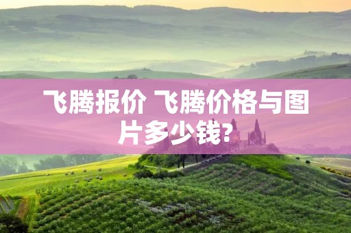 飞腾报价 飞腾价格与图片多少钱?
