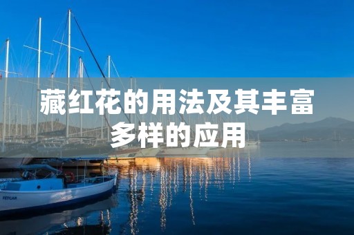 藏红花的用法及其丰富多样的应用