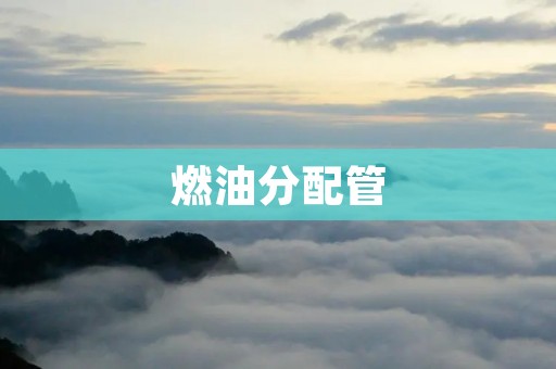 燃油分配管:优化燃油供应的关键 燃油分配管:优化燃油供应的关键