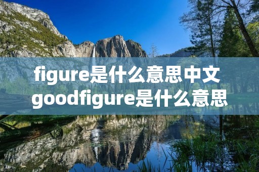 figure是什么意思中文 goodfigure是什么意思中文