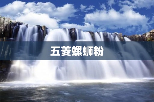 五菱螺蛳粉:舌尖上的美味江湖 五菱螺蛳粉:舌尖上的美味江湖