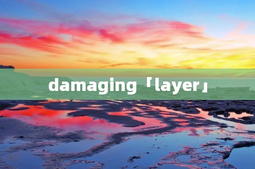 damaging「layer」