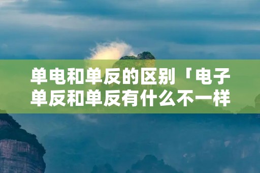 单电和单反的区别「电子单反和单反有什么不一样」 单电和单反的区别「电子单反和单反有什么不一样」