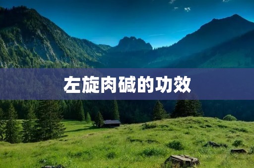 左旋肉碱的功效
