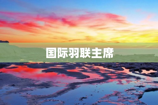 国际羽联主席:推动羽毛球运动发展的关键力量 国际羽联主席:推动羽毛球运动发展的关键力量