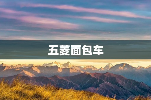 五菱面包车：中国乡村运输的主力军