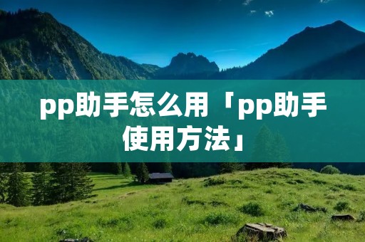 pp助手怎么用「pp助手使用方法」