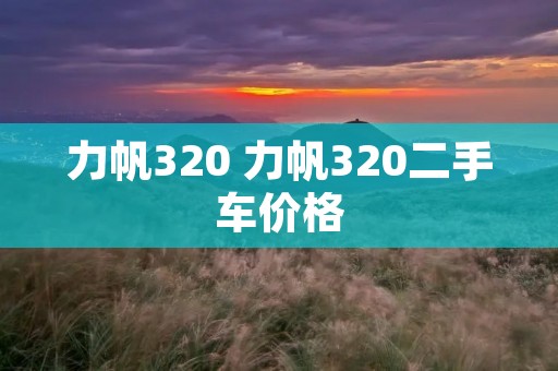 力帆320 力帆320二手车价格