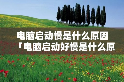 电脑启动慢是什么原因「电脑启动好慢是什么原因」