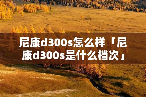 尼康d300s怎么样「尼康d300s是什么档次」