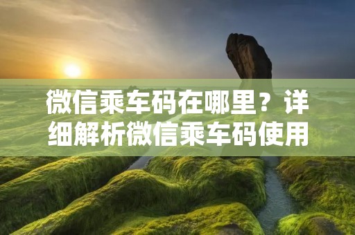 微信乘车码在哪里?详细解析微信乘车码使用方法