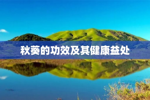 秋葵的功效及其健康益处