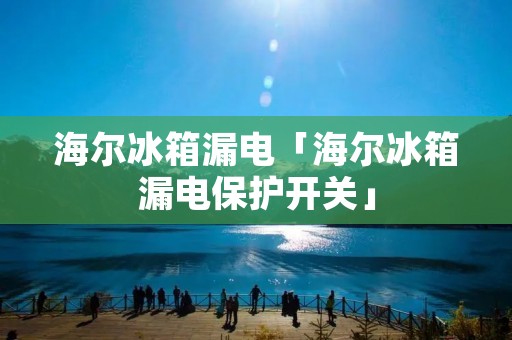 海尔冰箱漏电「海尔冰箱漏电保护开关」