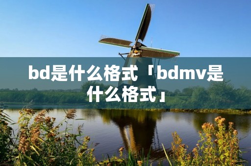 bd是什么格式「bdmv是什么格式」