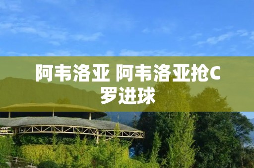 阿韦洛亚 阿韦洛亚抢C罗进球