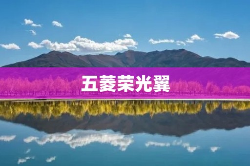 五菱荣光翼:一款经济实用的多功能商务车 五菱荣光翼:一款经济实用的多功能商务车