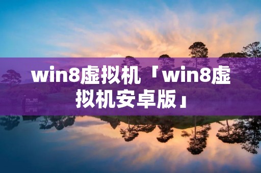 win8虚拟机「win8虚拟机安卓版」