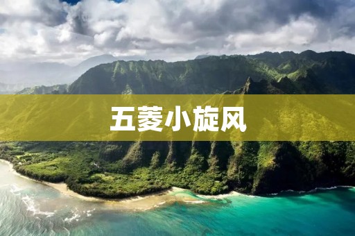 五菱小旋风：低调而高效的城市出行利器