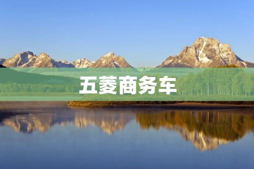 五菱商务车：一款实用高效的商用载货工具