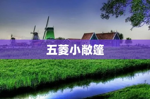 五菱小敞篷:让风与阳光成为你的座驾 五菱小敞篷:让风与阳光成为你的座驾