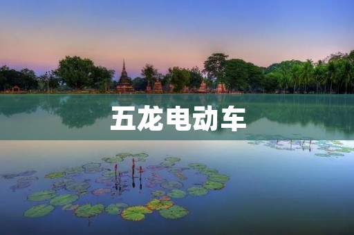 五龙电动车:引领绿色出行新潮流 五龙电动车:引领绿色出行新潮流