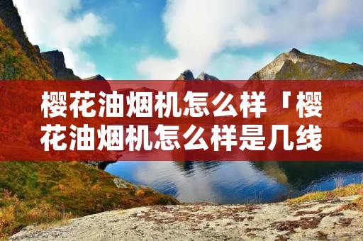 樱花油烟机怎么样「樱花油烟机怎么样是几线品牌」