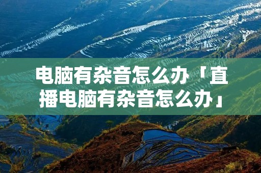 电脑有杂音怎么办「直播电脑有杂音怎么办」