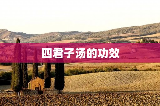 四君子汤的功效 四君子汤的功效