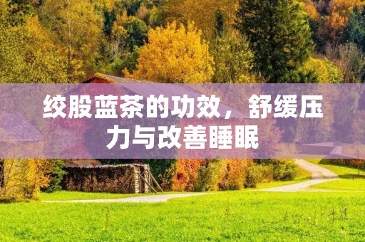 绞股蓝茶的功效,舒缓压力与改善睡眠