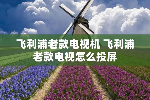 飞利浦老款电视机 飞利浦老款电视怎么投屏