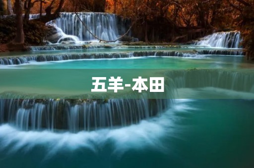 五羊-本田：跨国合作的成功案例