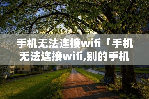 手机无法连接wifi「手机无法连接wifi,别的手机就可以」
