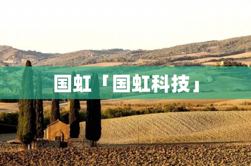 国虹「国虹科技」 国虹「国虹科技」