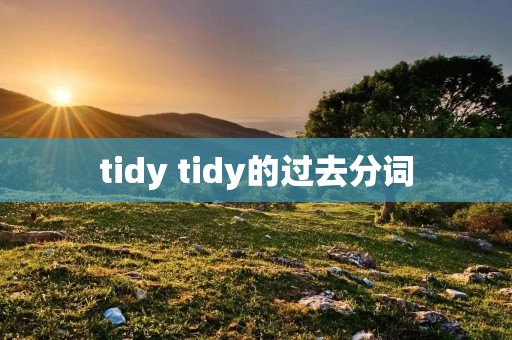 tidy tidy的过去分词