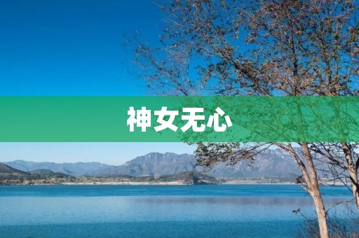 神女无心:揭秘华丽背后的辛酸与坚持