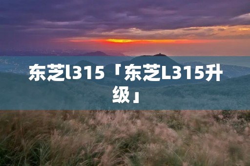 东芝l315「东芝L315升级」
