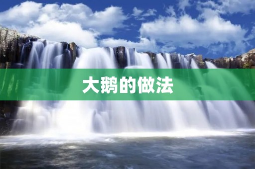 大鹅的做法：美味佳肴的独特制作方法