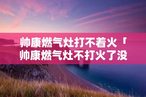 帅康燃气灶打不着火「帅康燃气灶不打火了没声音」 帅康燃气灶打不着火「帅康燃气灶不打火了没声音」
