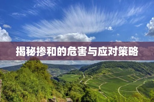 揭秘掺和的危害与应对策略