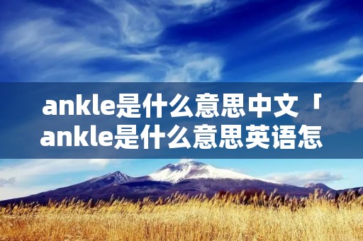 ankle是什么意思中文「ankle是什么意思英语怎么读」