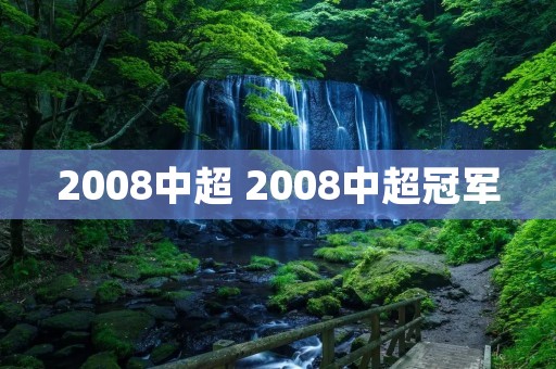 2008中超 2008中超冠军
