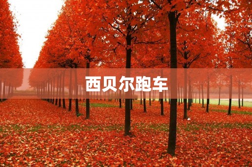 西贝尔跑车：性能与奢华的完美结合