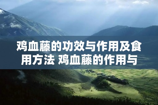 鸡血藤的功效与作用及食用方法 鸡血藤的作用与功效与作用是什么