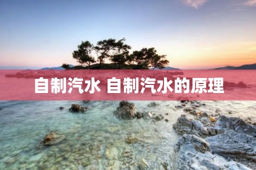 自制汽水 自制汽水的原理