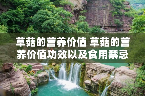 草菇的营养价值 草菇的营养价值功效以及食用禁忌?