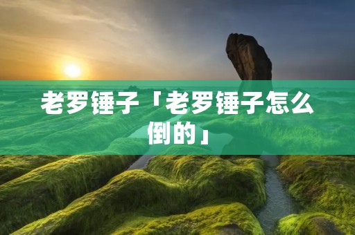 老罗锤子「老罗锤子怎么倒的」