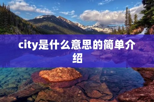 city是什么意思的简单介绍