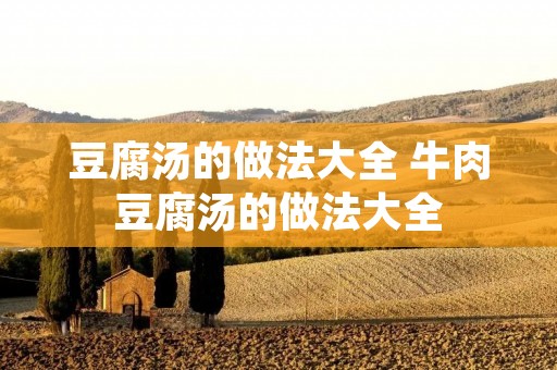 豆腐汤的做法大全 牛肉豆腐汤的做法大全