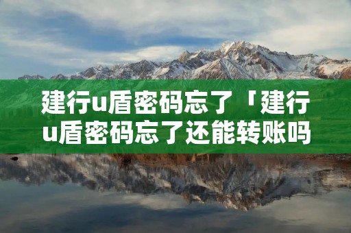 建行u盾密码忘了「建行u盾密码忘了还能转账吗」 建行u盾密码忘了「建行u盾密码忘了还能转账吗」