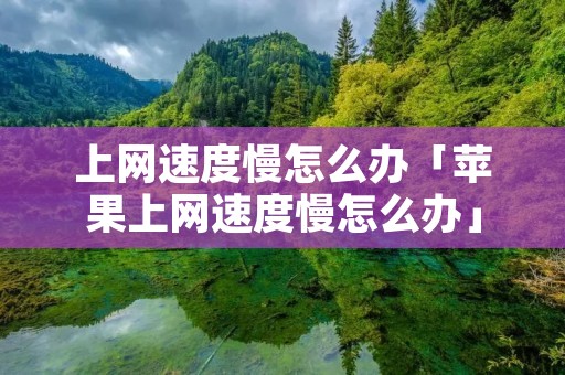 上网速度慢怎么办「苹果上网速度慢怎么办」